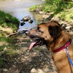 Meet your Posher, Rachel