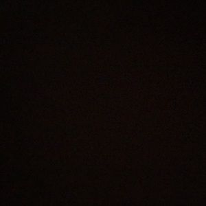 Meet your Posher, Isabella