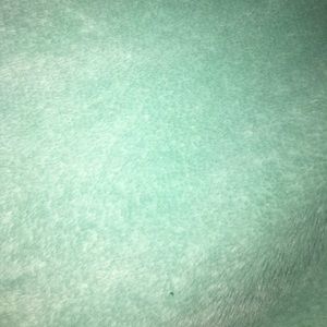 Meet your Posher, Sofia