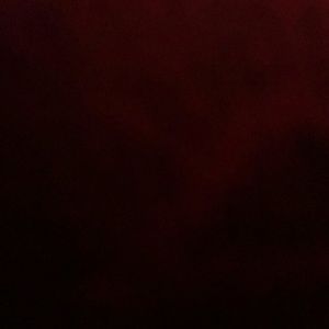 Meet your Posher, Tasha