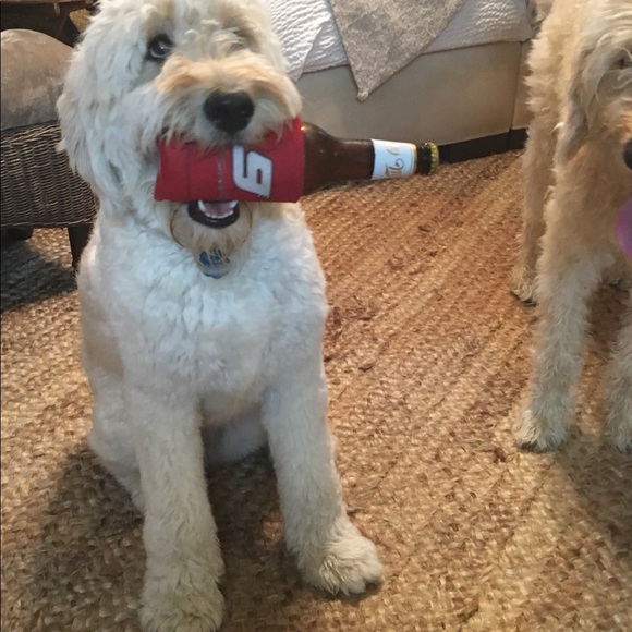 Meet your Posher, Maryah - Picture 4 of 8