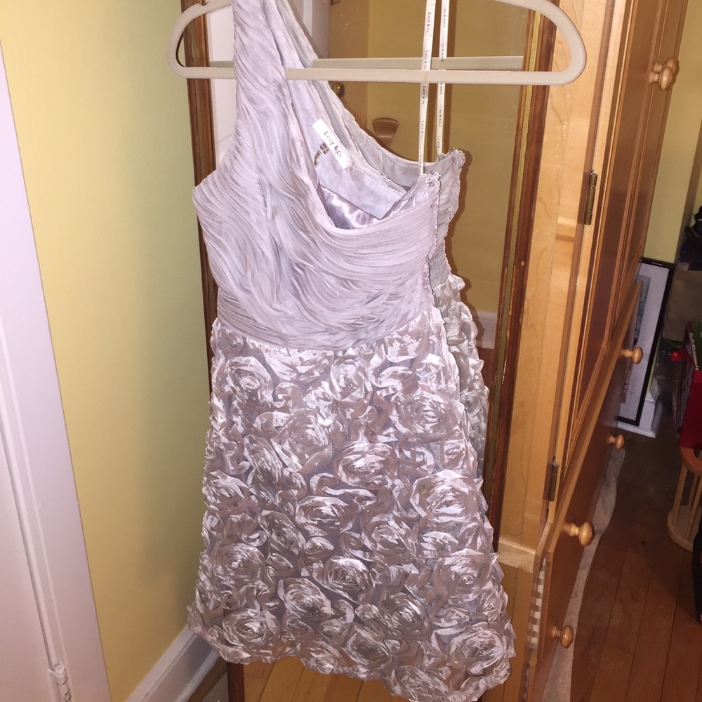 Formal Silver Dress Lucy & Co