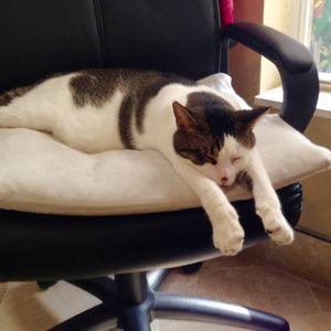 Meet your Posher, Lucky