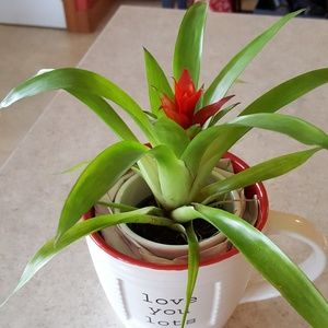 Meet your Posher, Mary a