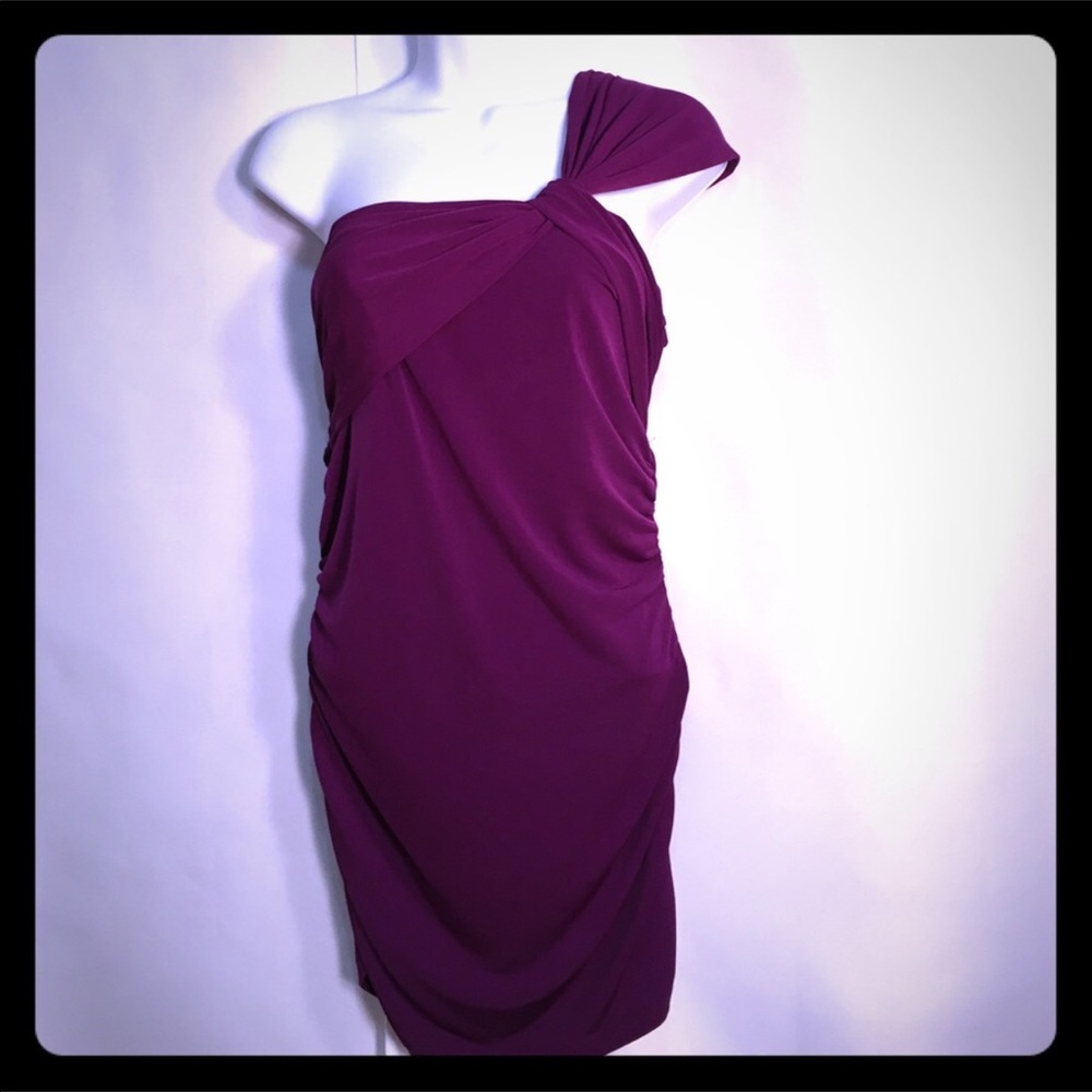 The Limited one Shoulder Cinched Dress
