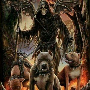 Meet your Posher, Joseph