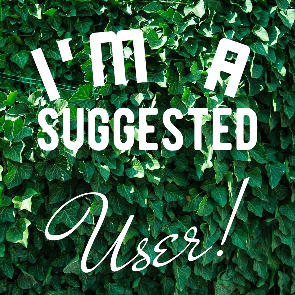 🎉Suggested User 🎉