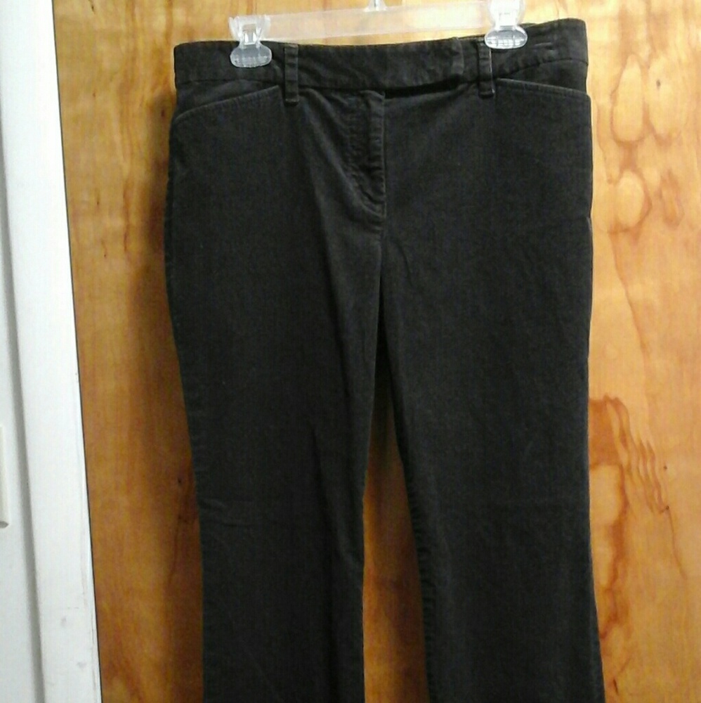 Women's Petite Ann Taylor Pants