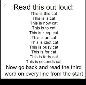 Meet your Posher, Steven