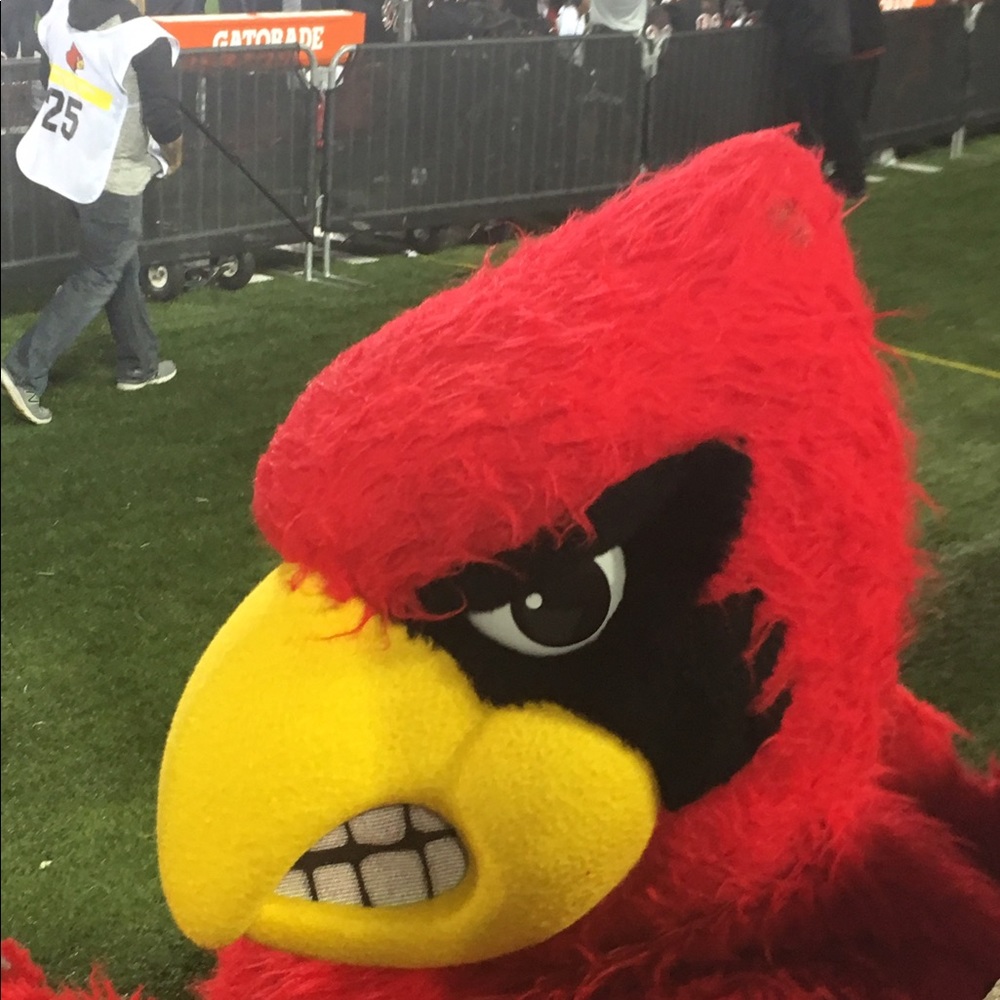 Meet your Posher, Reggie