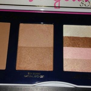 BNNB LE Too Faced Bonjour Soleil Bronzing Palette!