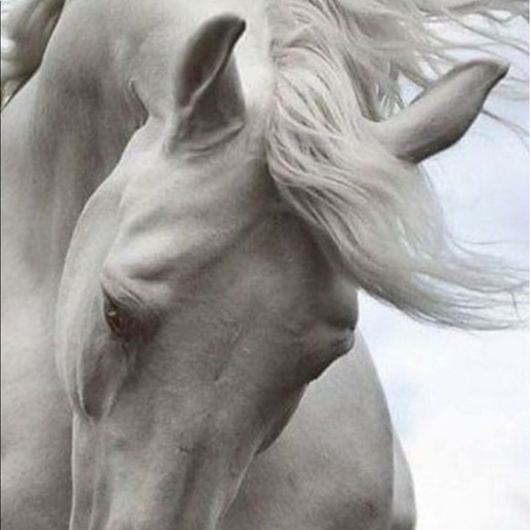 . I am a Suggested User! - Picture 7 of 7