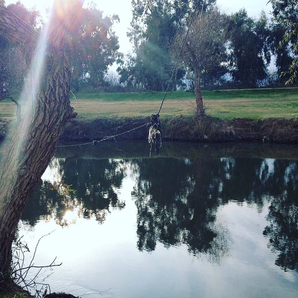 . I am a Suggested User! - Picture 6 of 7