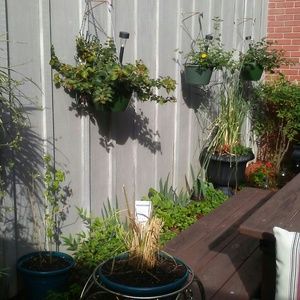 Meet your Posher, Curtis