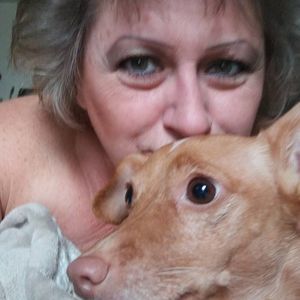 Meet your Posher, Kitty