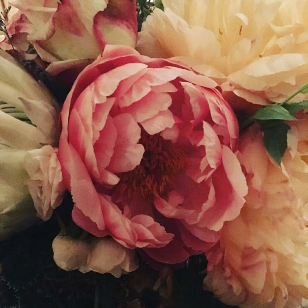 Meet your Posher, Astasia