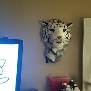 Meet your Posher, Trenton