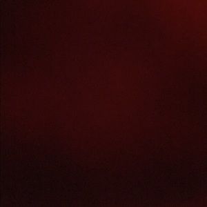 Meet your Posher, Whitney