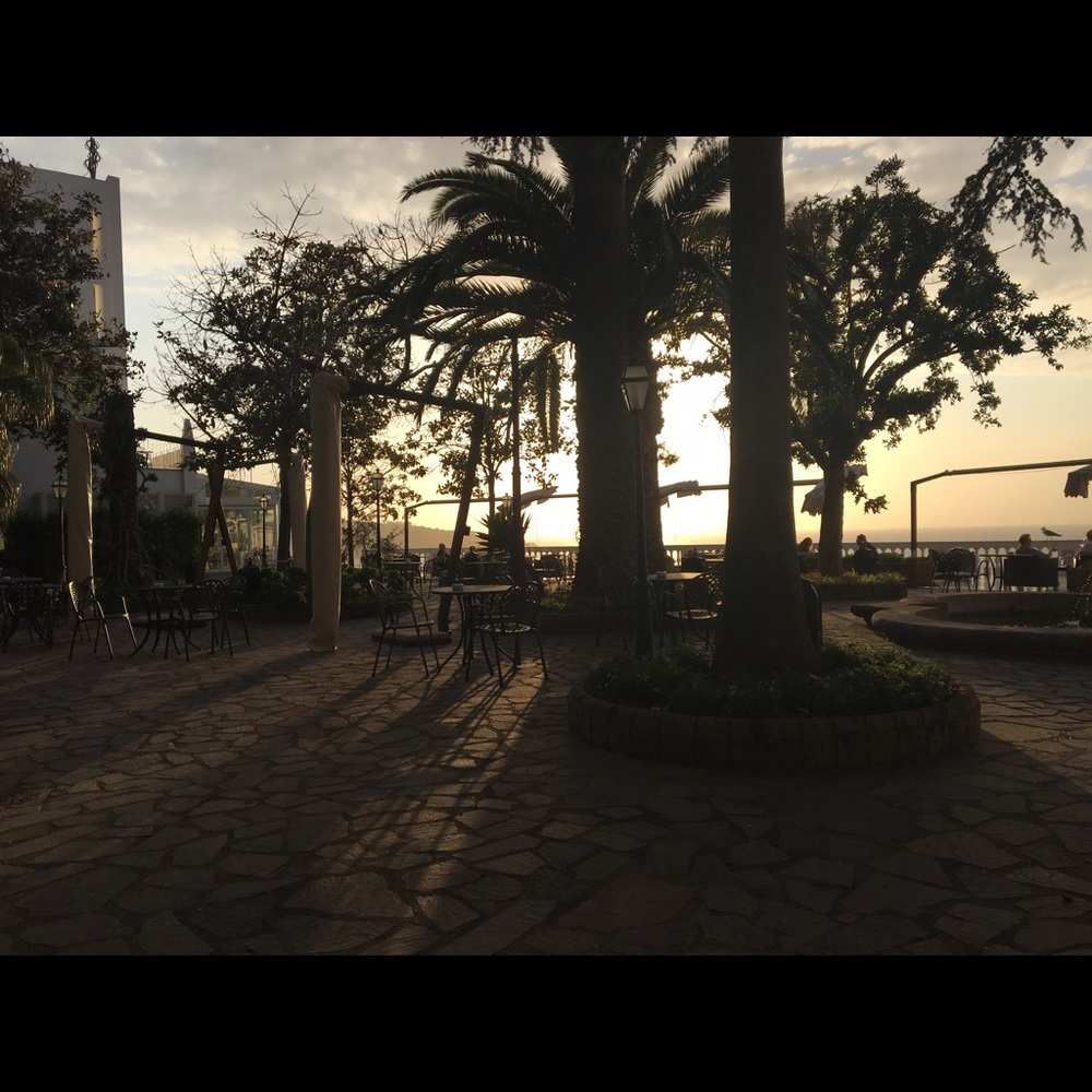 Meet your Posher, Ally