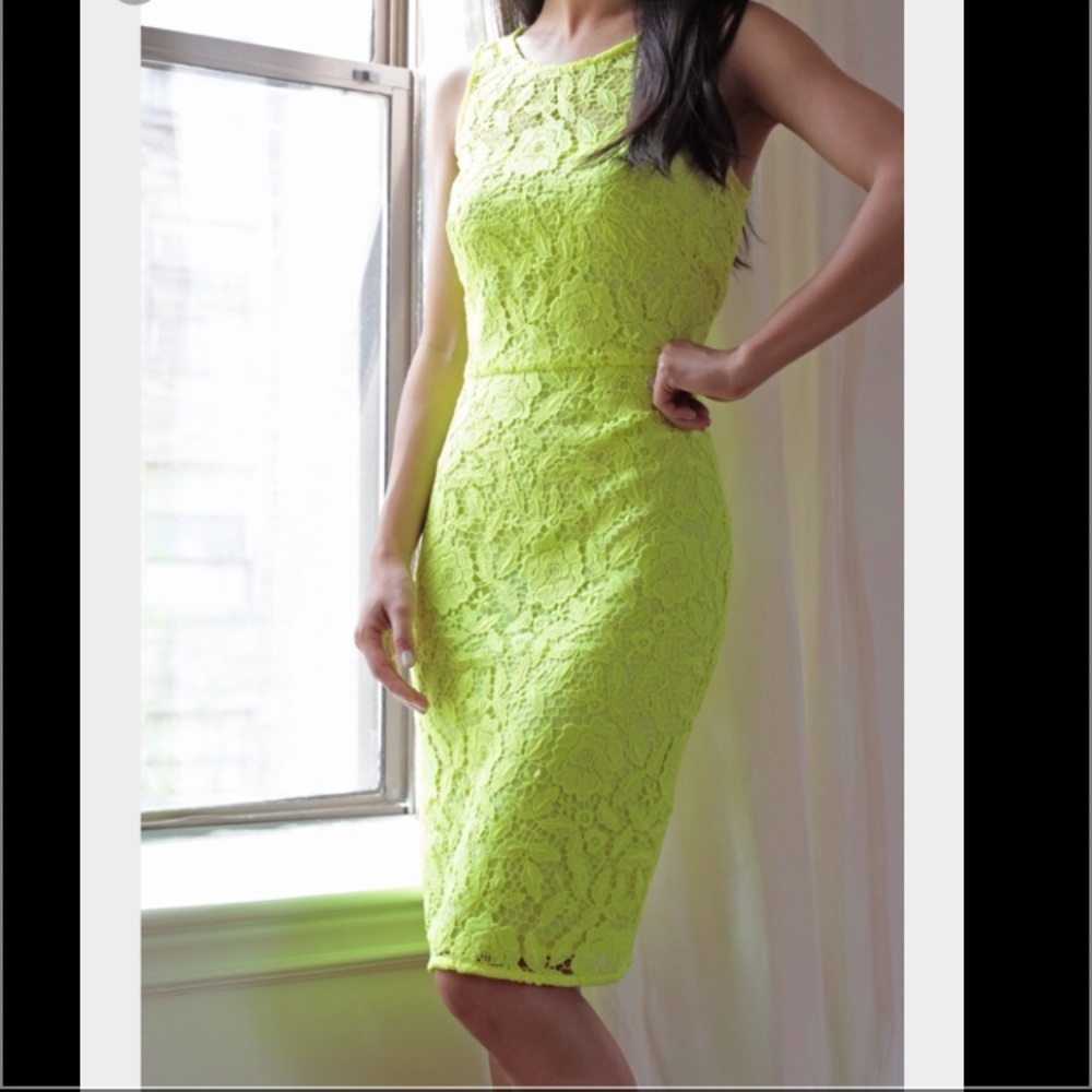 J. Crew Lace Sheath Dress Size 10 - Picture 5 of 8
