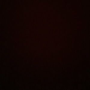 Meet your Posher, Mia