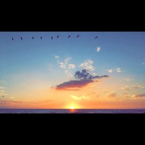 Meet your Posher, Millie