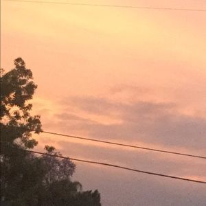 Meet your Posher, Ella