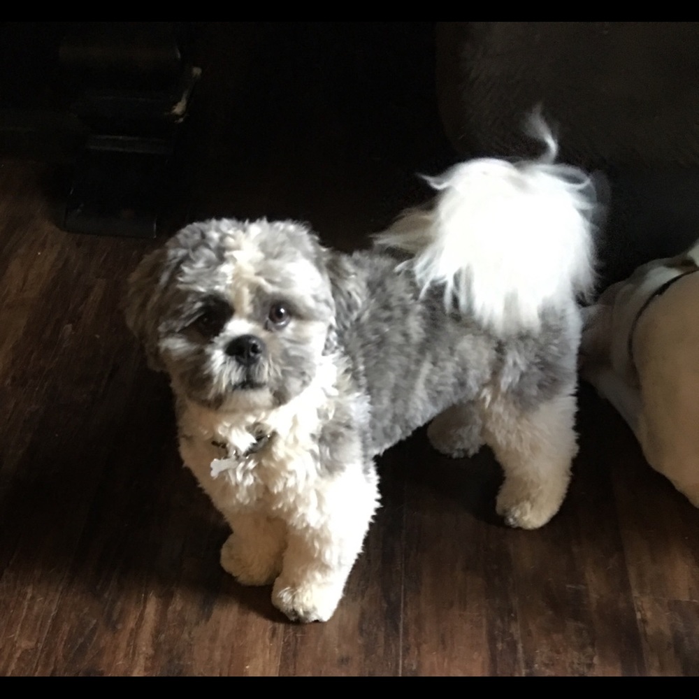 Meet your Posher, Heather