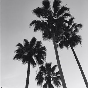 Meet your Posher, Ashlyn