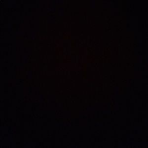 Meet your Posher, Mattie