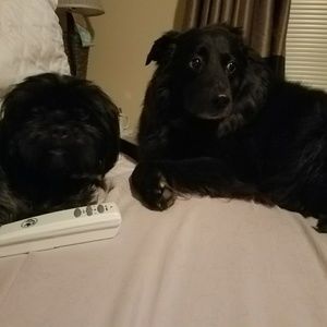 Meet your Posher, Joanna