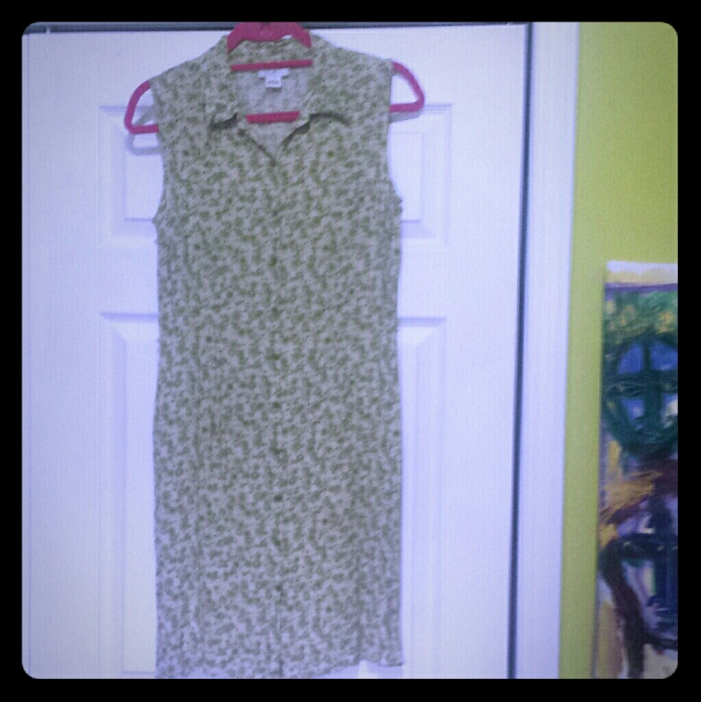 LOFT Green and White Floral Print Dress