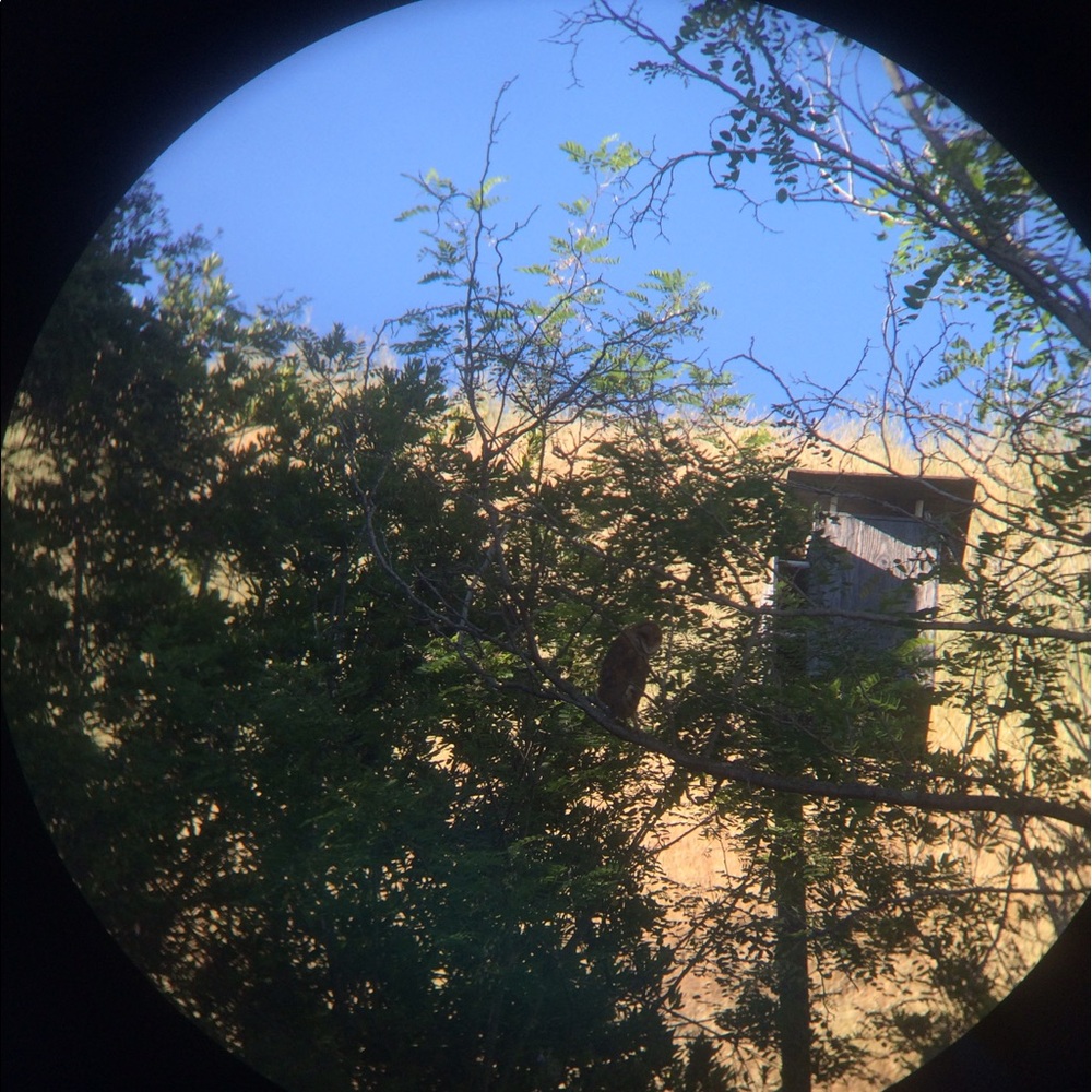 Meet your Posher, Sydney