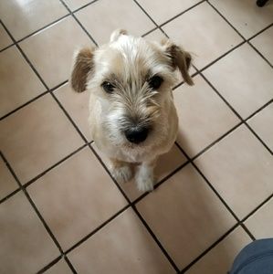 Meet your Posher, Janet