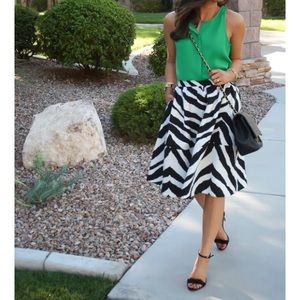 Zebra Patterned Skirt