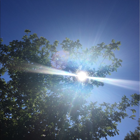 Meet your Posher, Carly - Picture 1 of 1