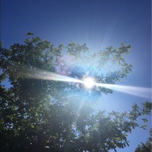 Meet your Posher, Carly