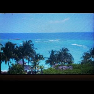 Meet your Posher, Brandy