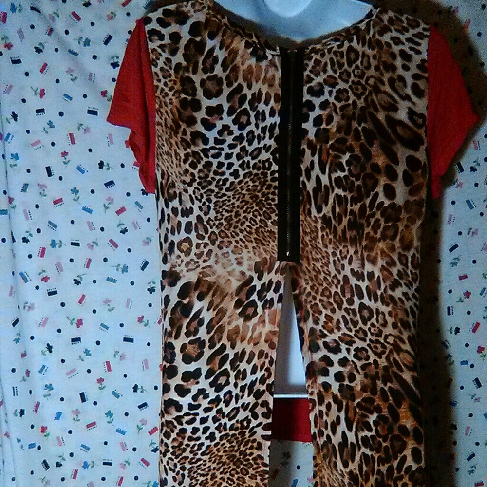 Discreet - Picture 2 of 6
