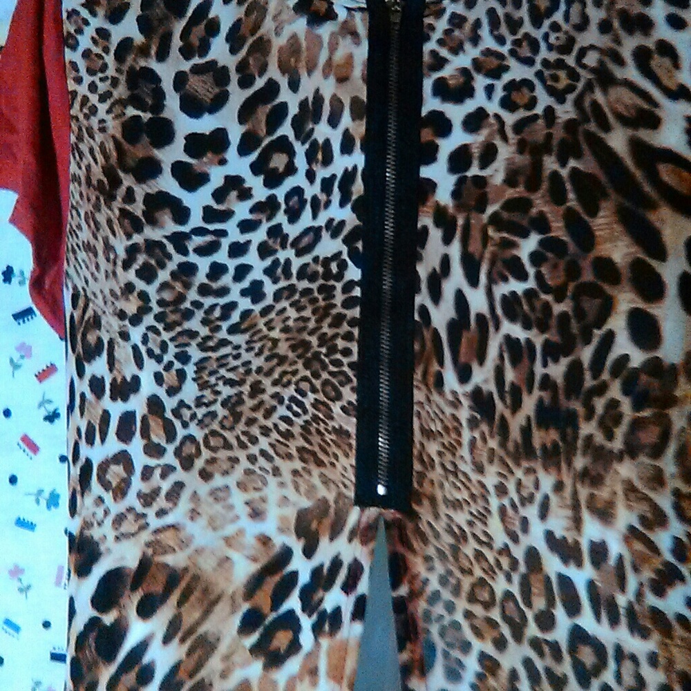 Discreet - Picture 4 of 6