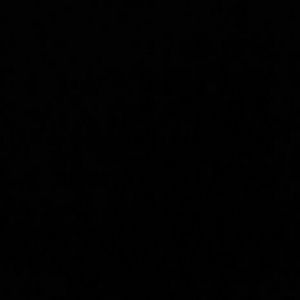 Meet your Posher, Joy