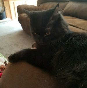 Meet your Posher, Kim