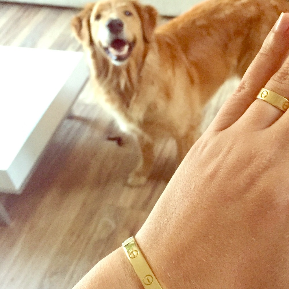 Golden retriever with matching Cartier ❤️