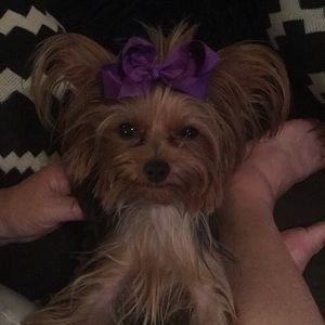 Meet your Posher, Leanne