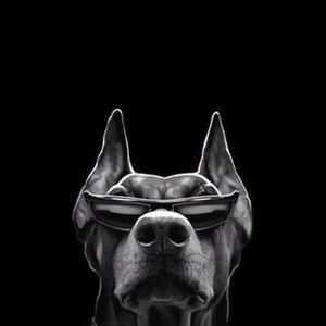 Meet your Posher, Logan