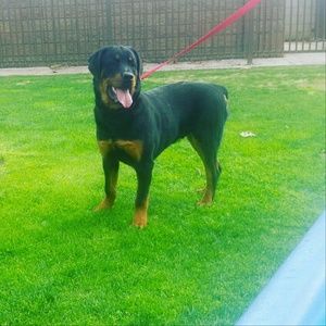 Meet your Posher, Brenda