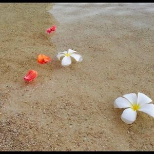 Meet your Posher, Kaitlyn