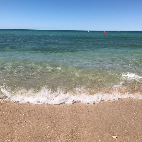 Meet your Posher, Sage - Picture 1 of 1