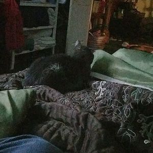 Meet your Posher, Lisa