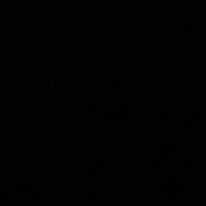 Meet your Posher, Irwin